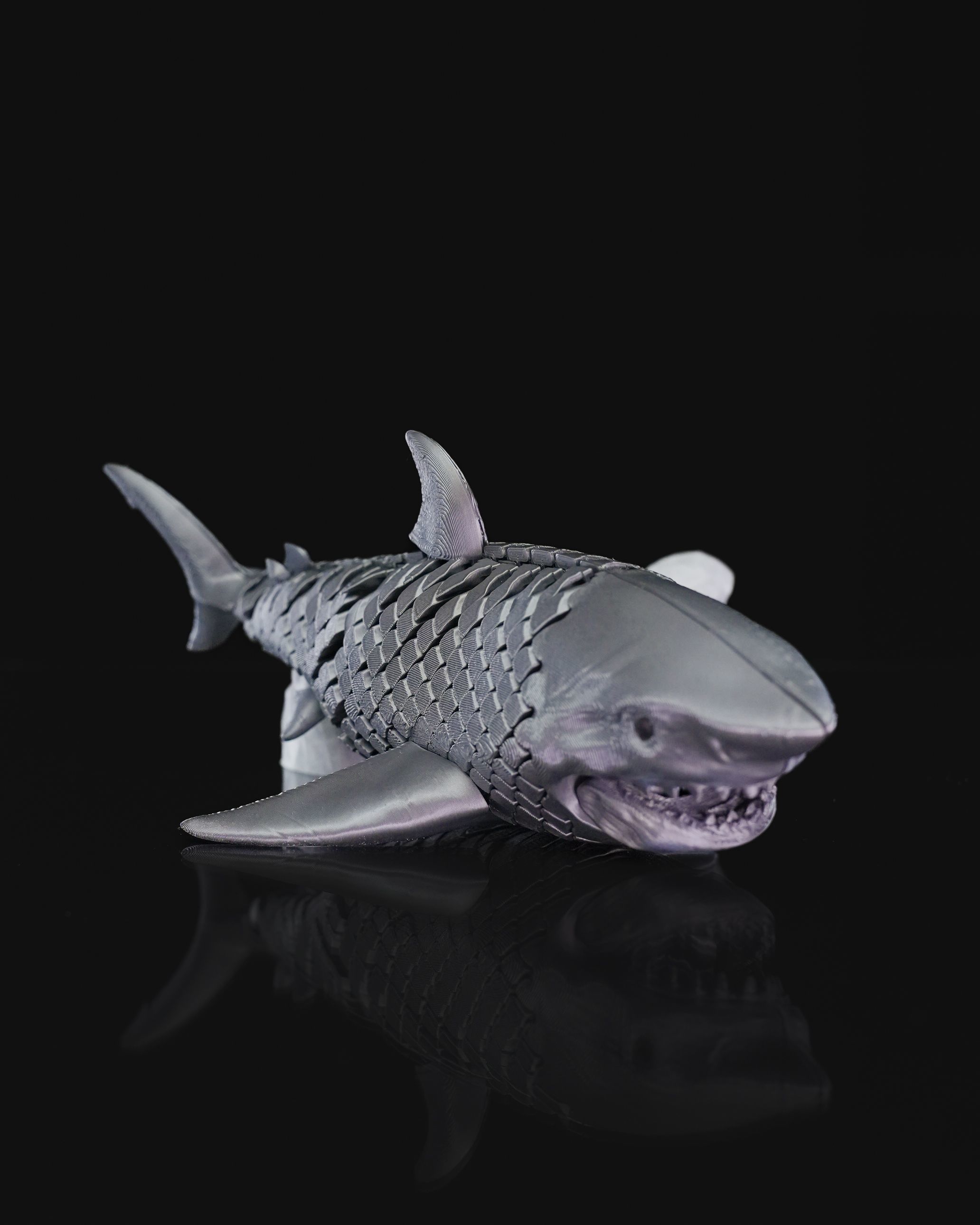 Great White Shark 3D print model_5