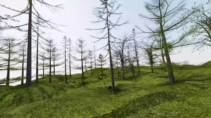 Realistic Forest Small Scene Model