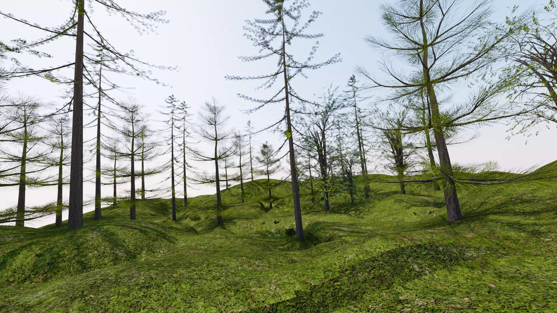 Realistic Forest Small Scene Model Low-poly 3D model_0