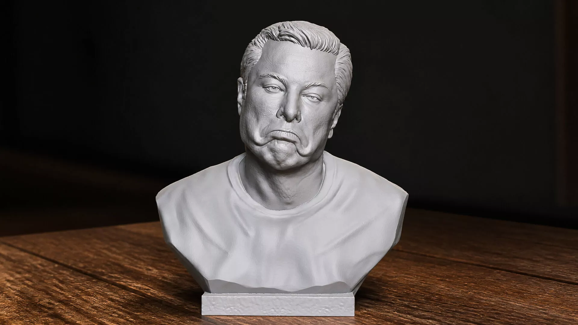 Elon Musk 3D print model