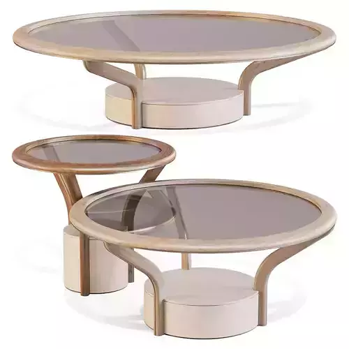 Giorgetti Chanterelle - Coffee and Side Tables 3D model