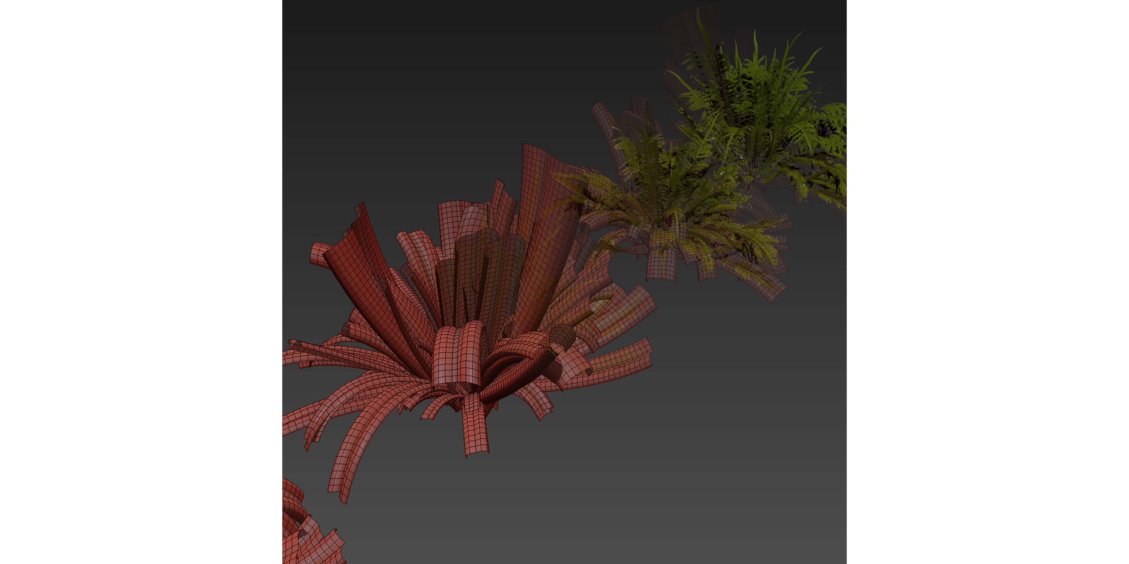 Collection plant vol 571 - shurb - ferns 3D model_6