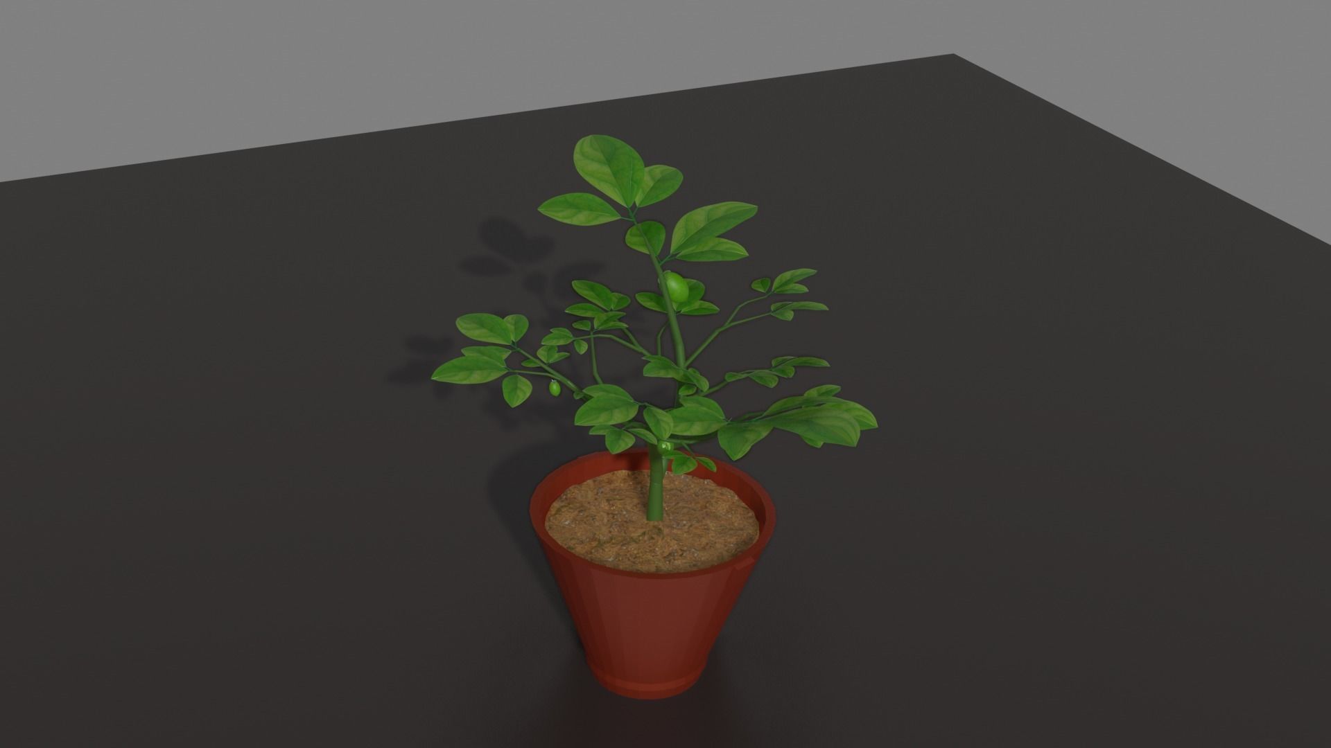 Tree Tubs 3d Model Lemon Tree Tubs Tree pot small Tree model 3D model_4