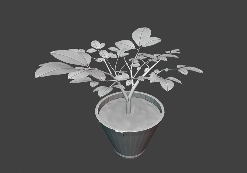 Tree Tubs 3d Model Lemon Tree Tubs Tree pot small Tree model 3D model_3