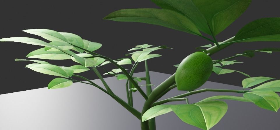 Tree Tubs 3d Model Lemon Tree Tubs Tree pot small Tree model 3D model_6