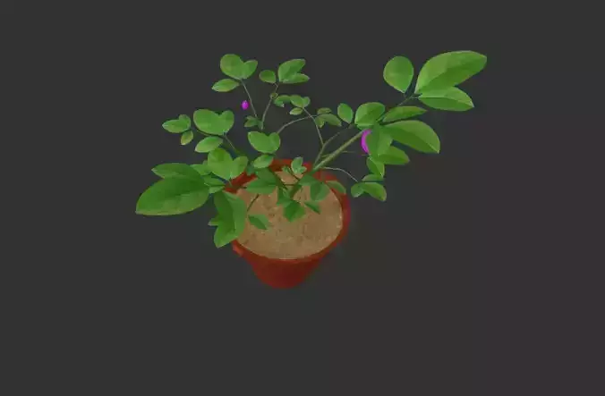 Tree Tubs 3d Model Lemon Tree Tubs Tree pot small Tree model 