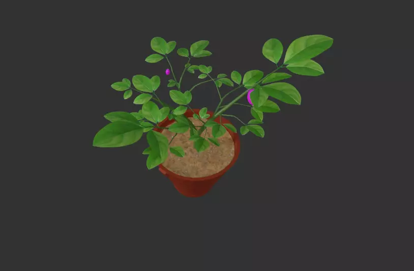 Tree Tubs 3d Model Lemon Tree Tubs Tree pot small Tree model 3D model_0