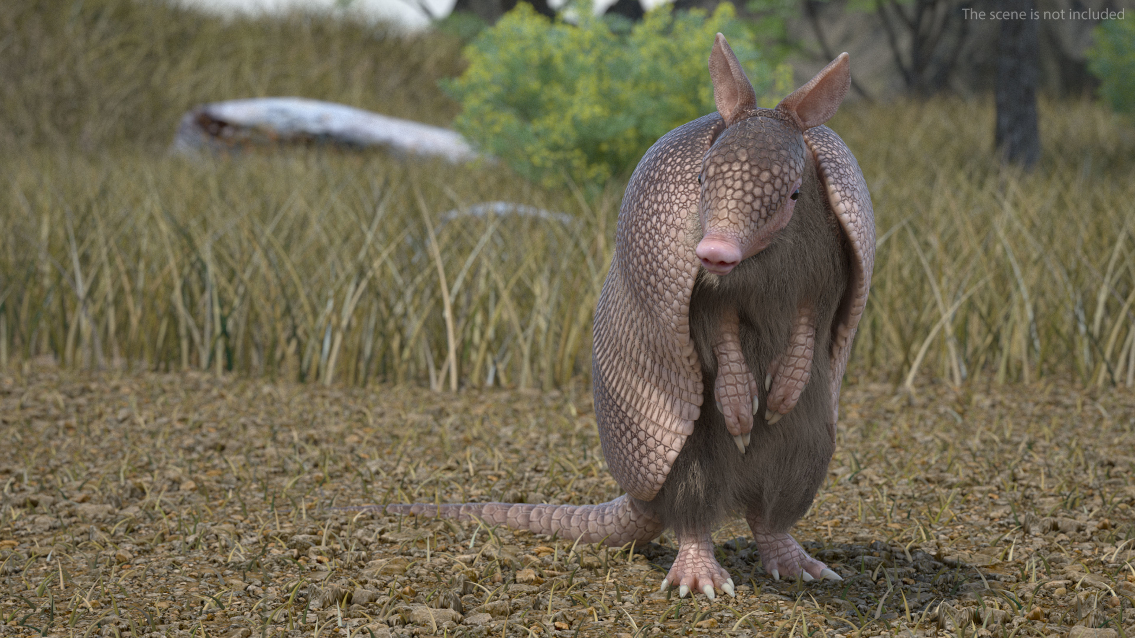 Armadillo in Hind Legs Pose Pink Fur 3D model