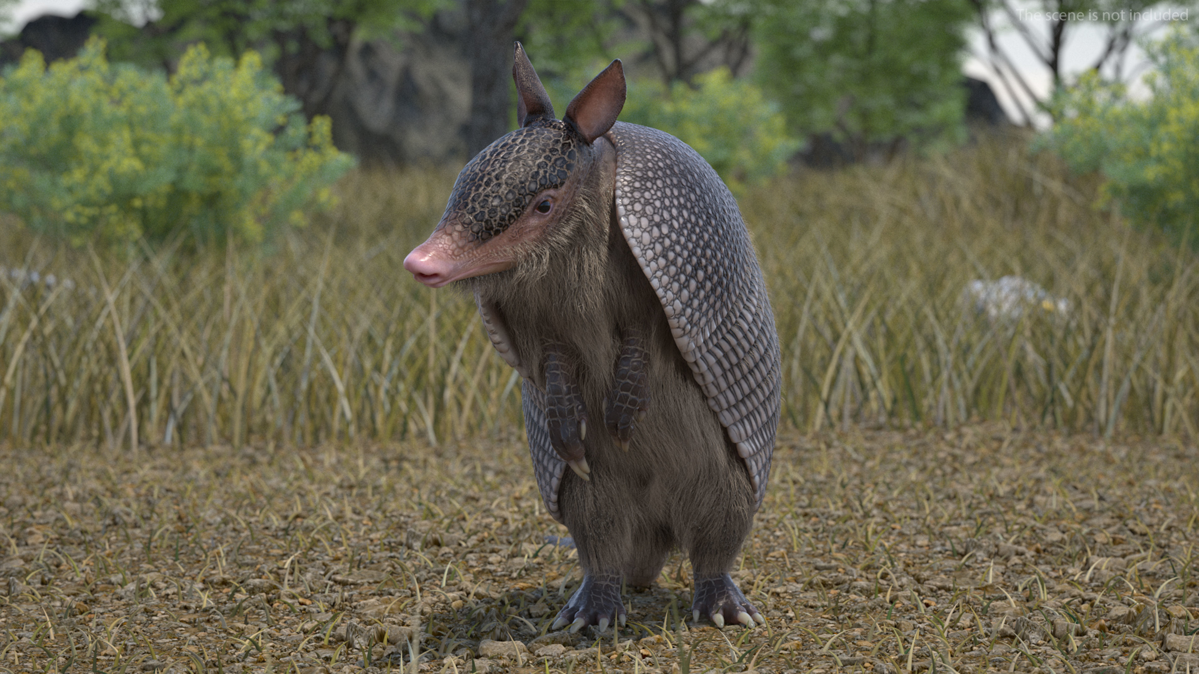 Armadillo in Hind Legs Pose Black Fur 3D model