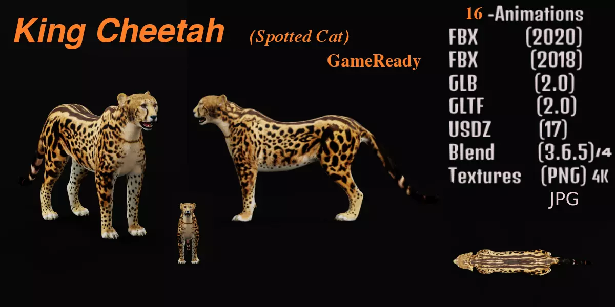 King Cheetah 3D model