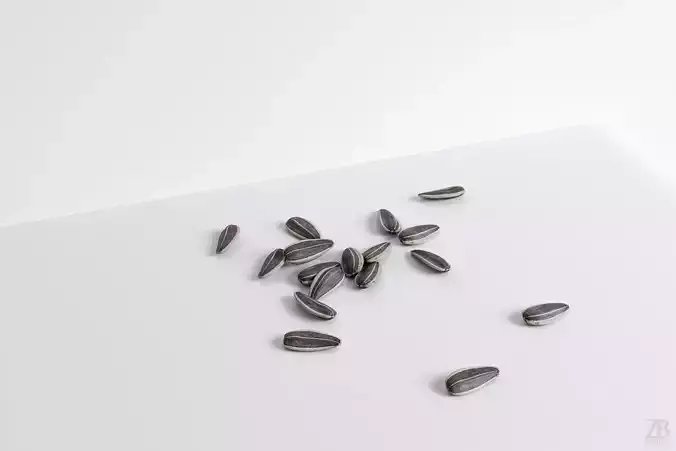Sunflower Seed 3D model