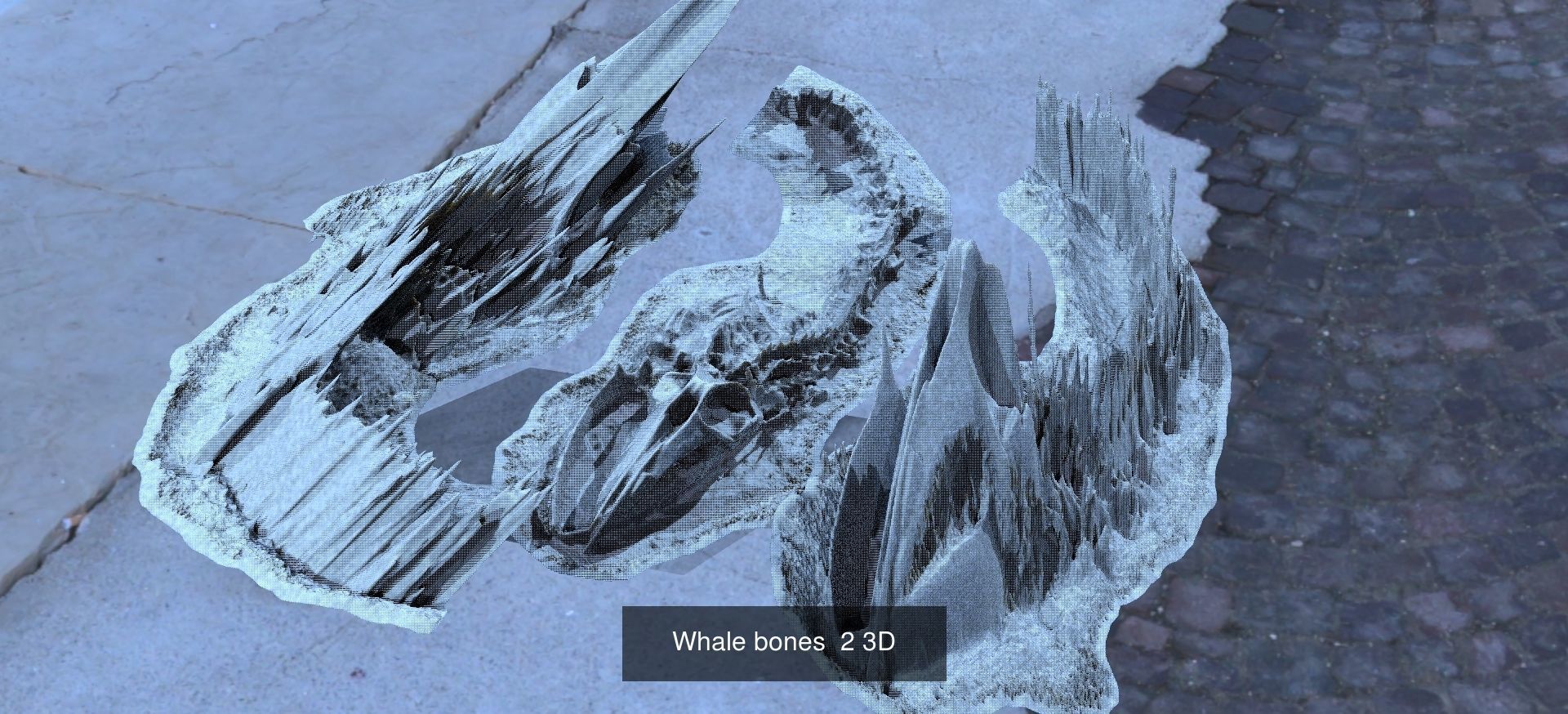 Dragon Bone architecture collection _7