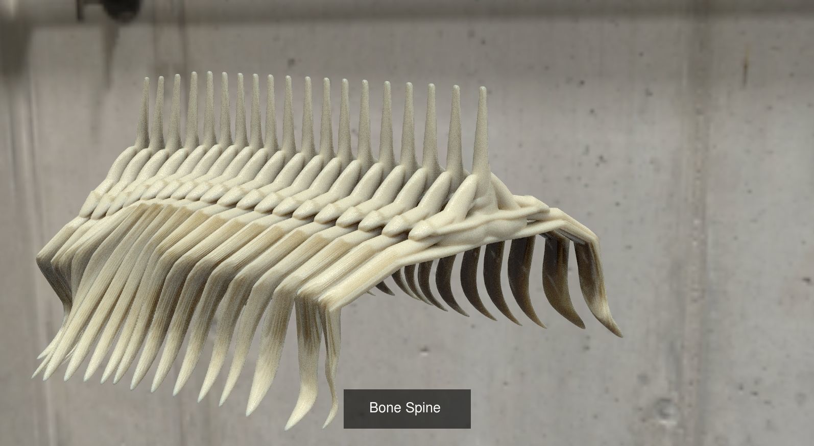 Dragon Bone architecture collection _5