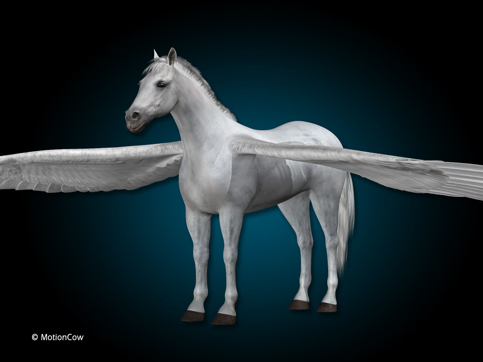 Pegasus 3D model_10
