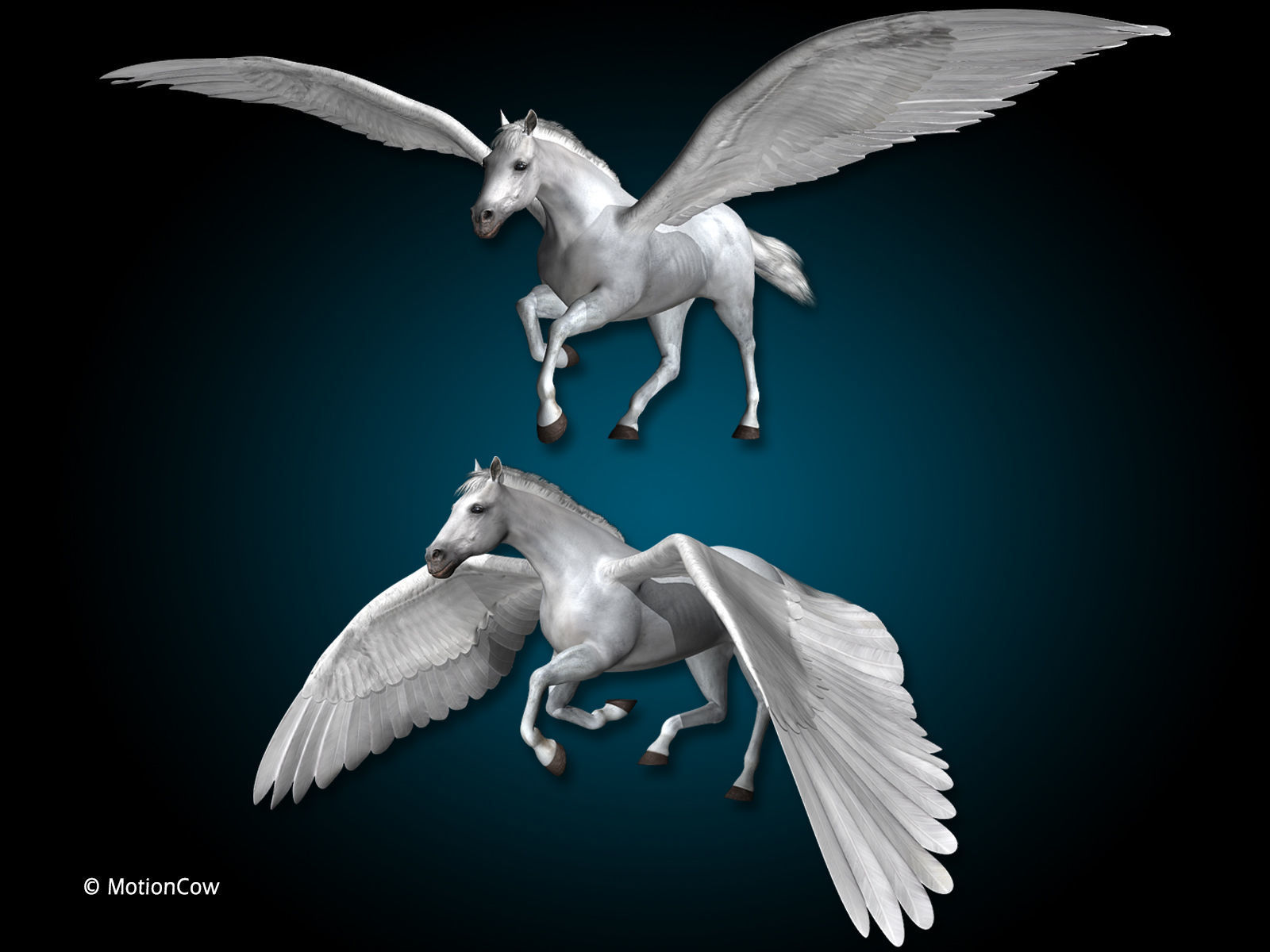 Pegasus 3D model_9