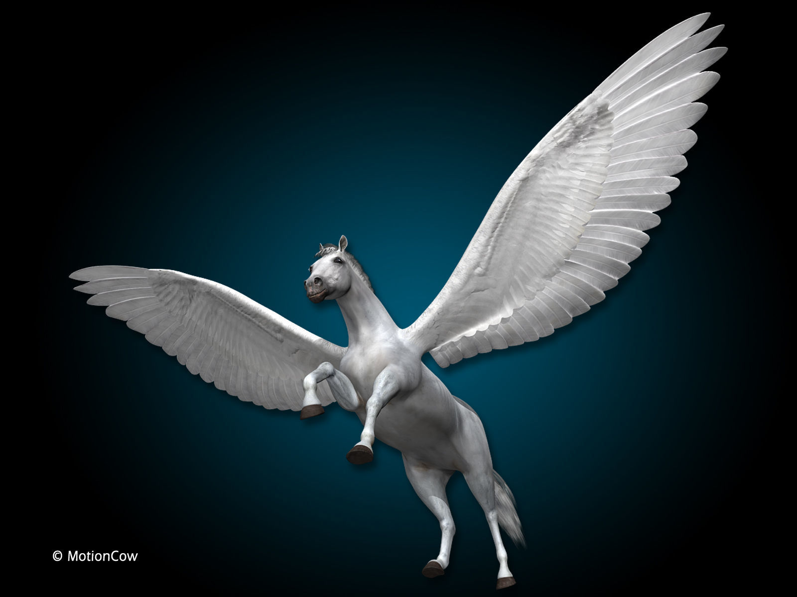 Pegasus 3D model_11