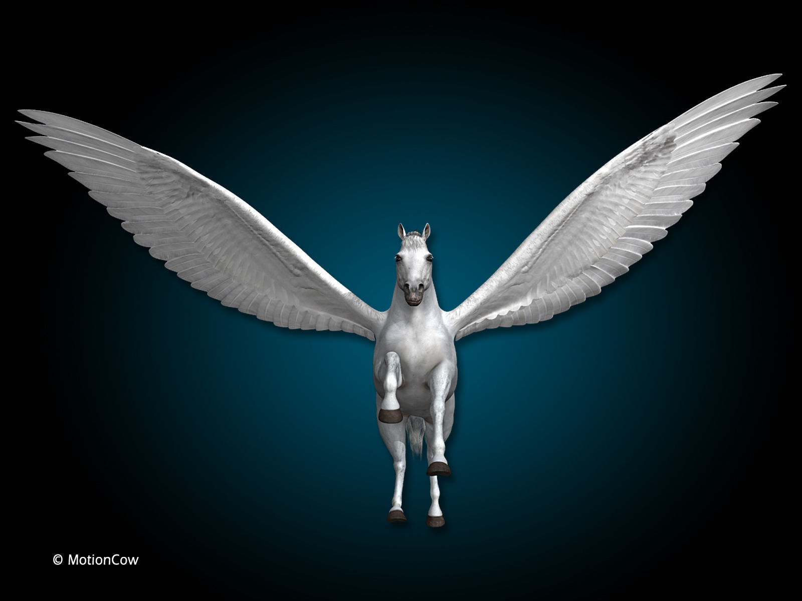 Pegasus 3D model_12