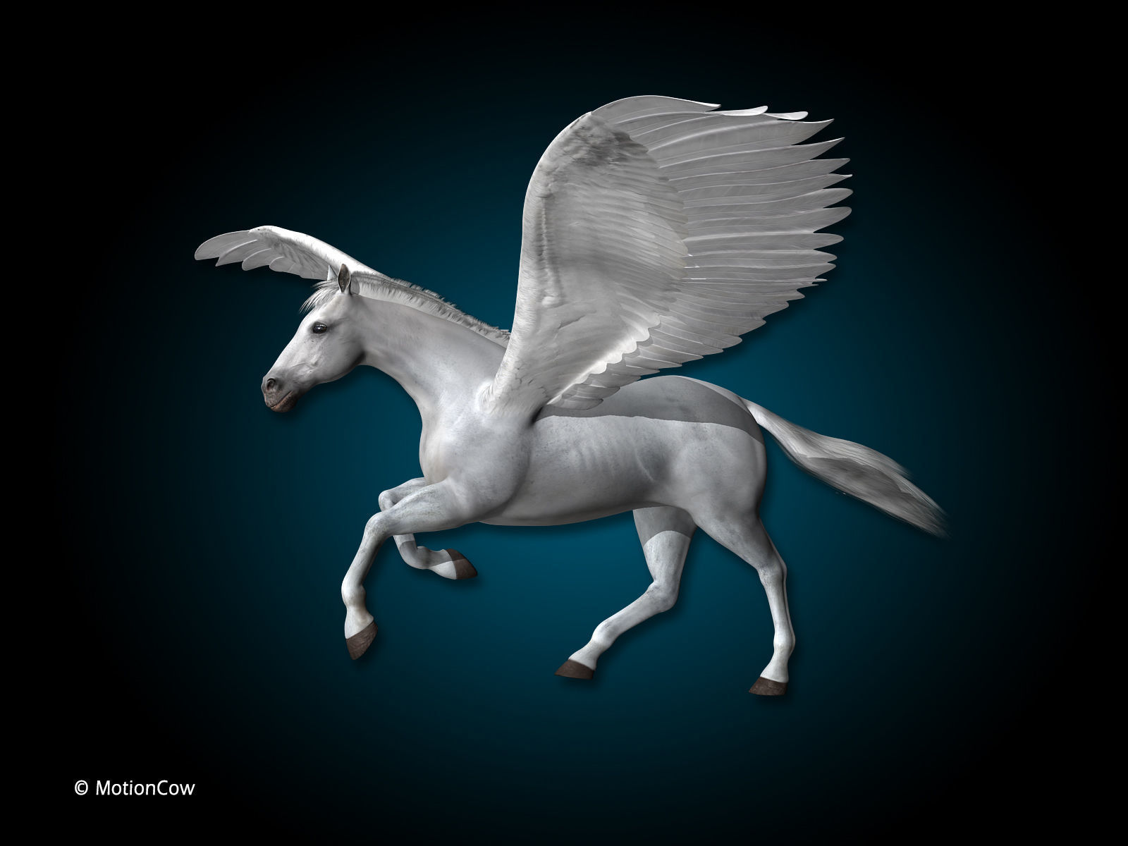 Pegasus 3D model_8