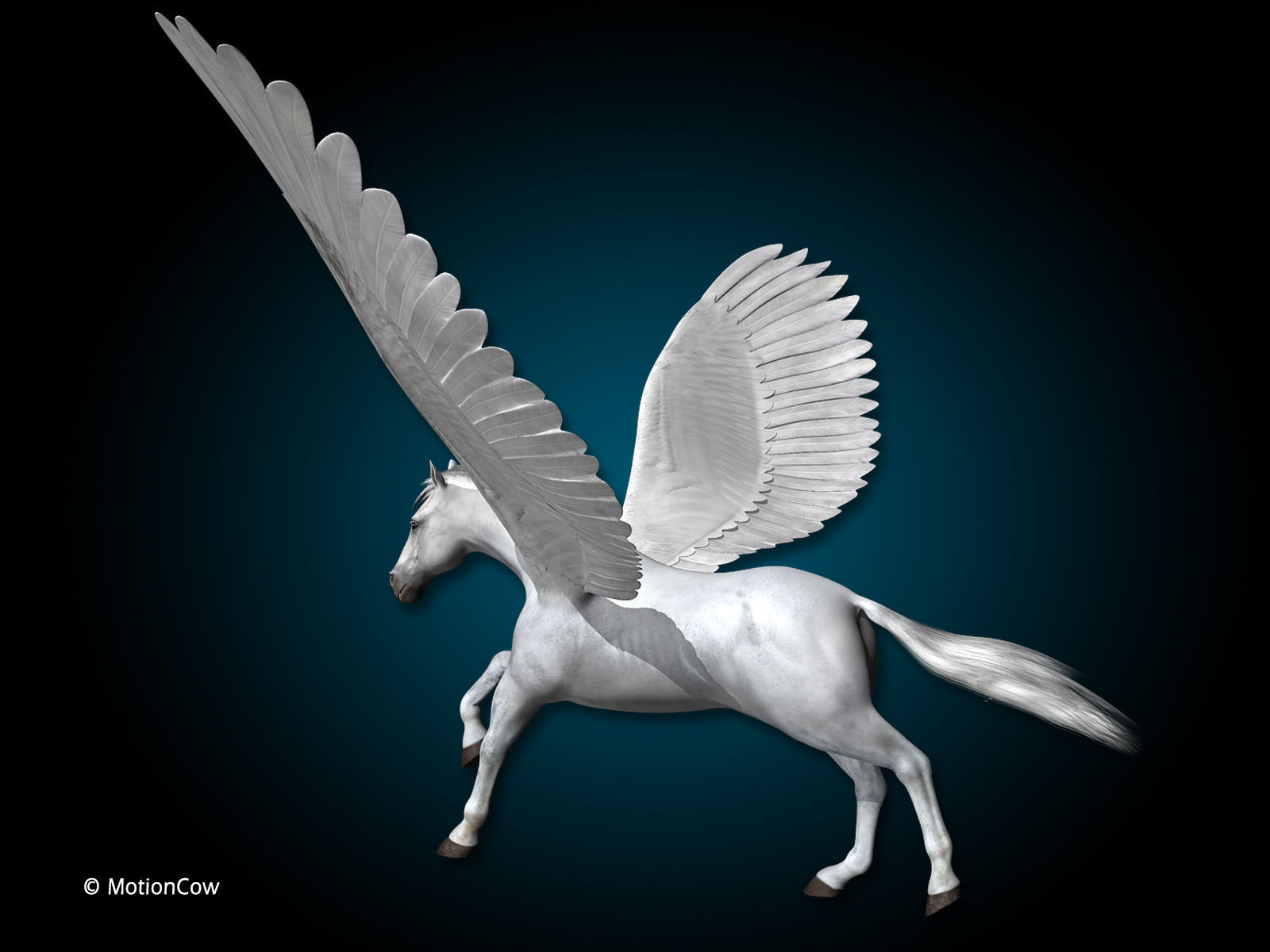 Pegasus 3D model_13