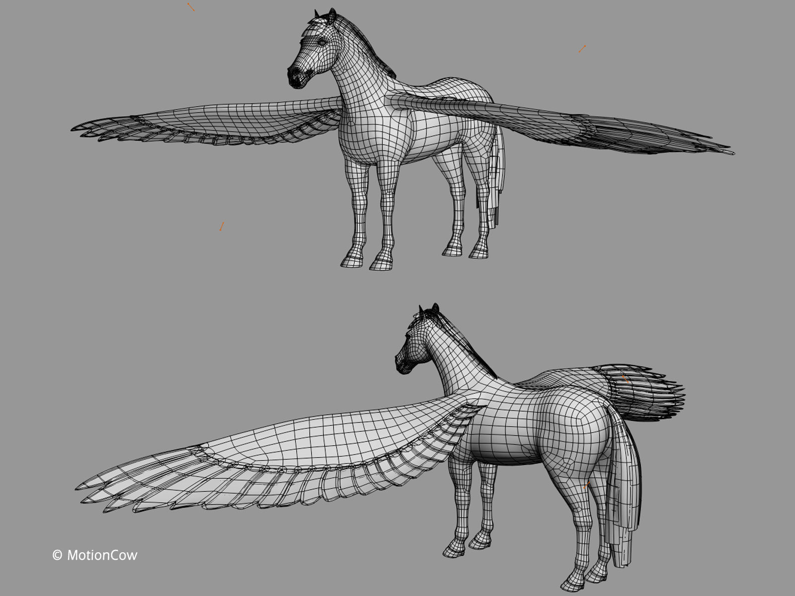 Pegasus 3D model_16