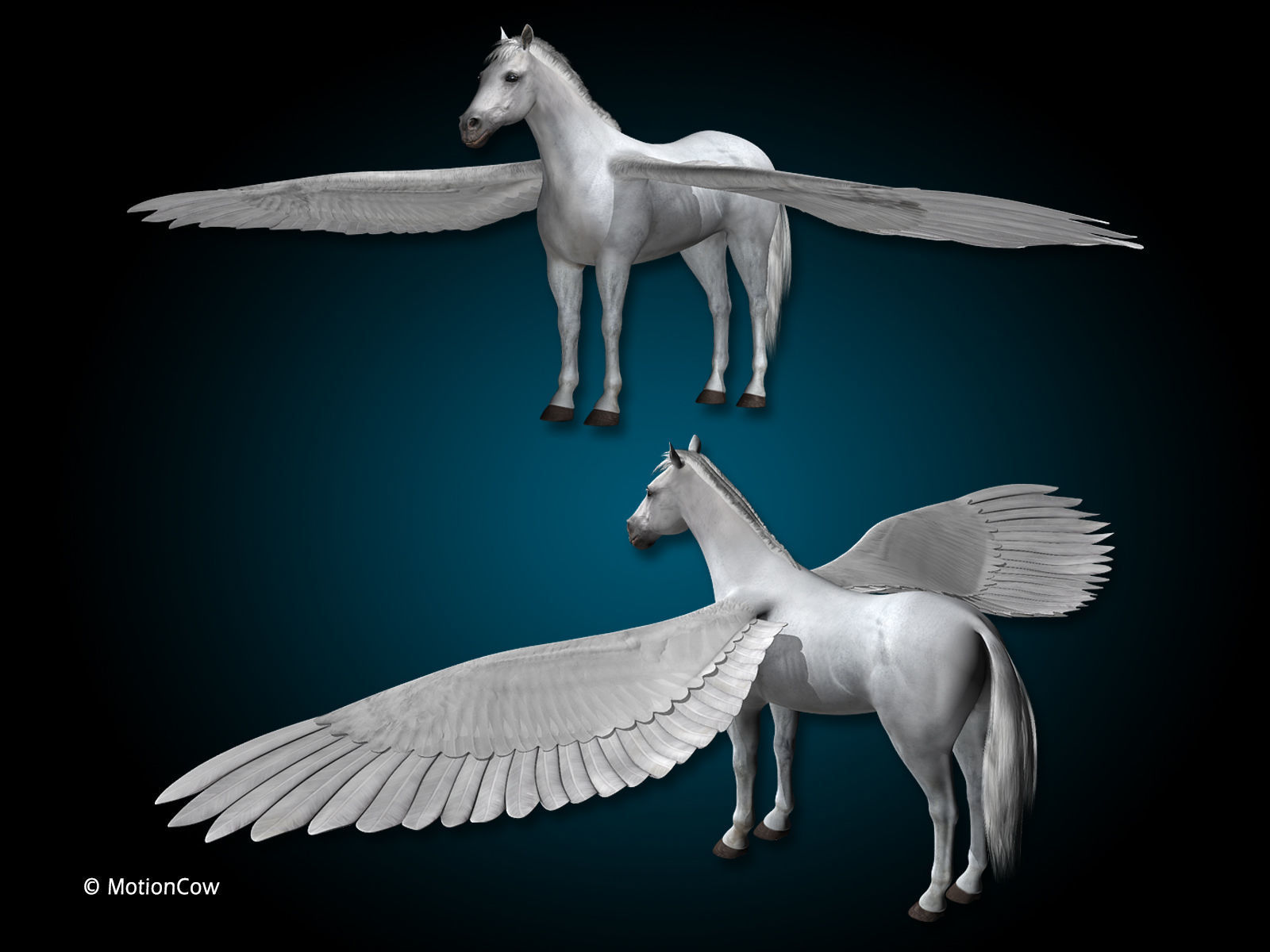 Pegasus 3D model_15