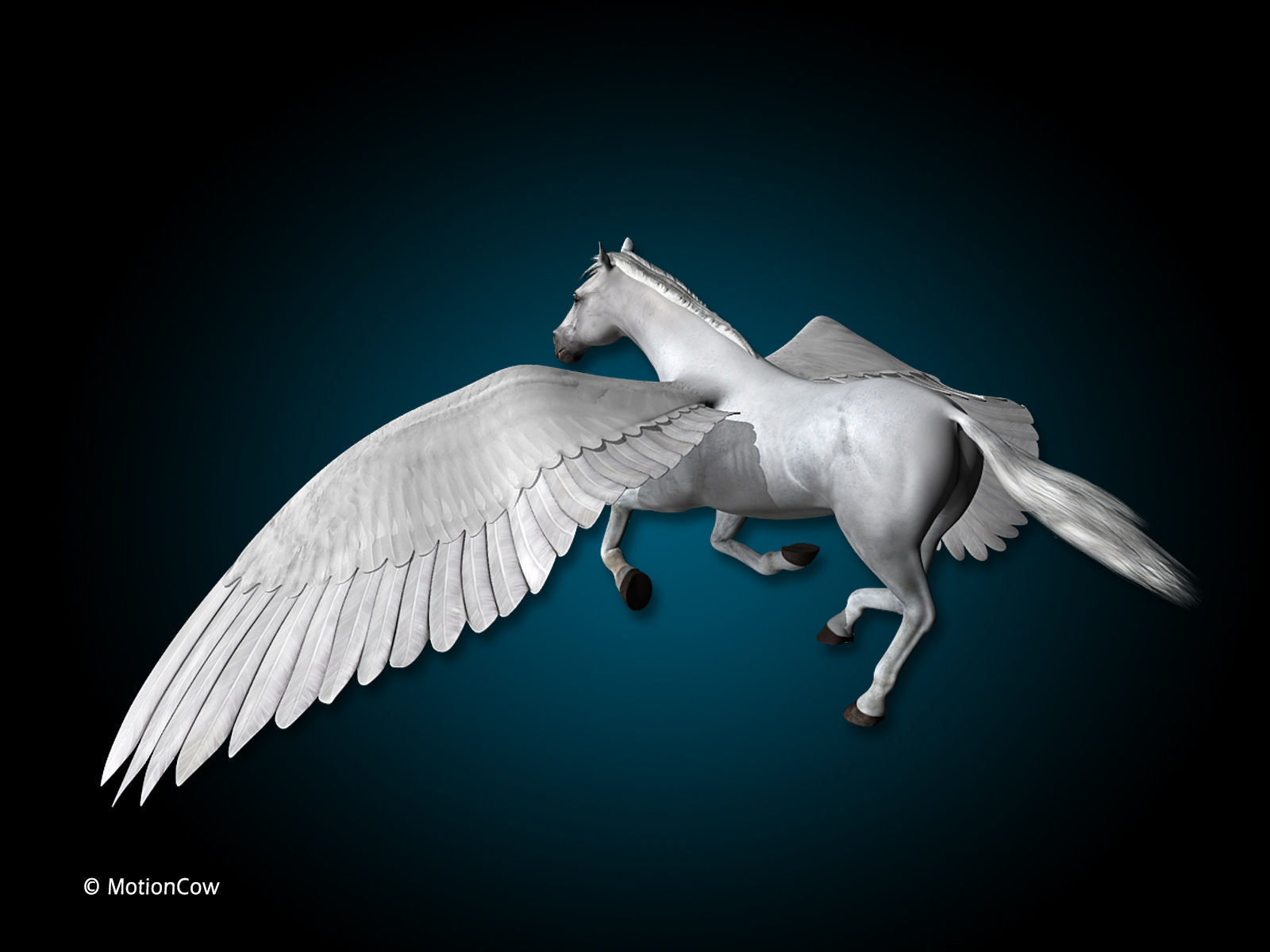 Pegasus 3D model_5