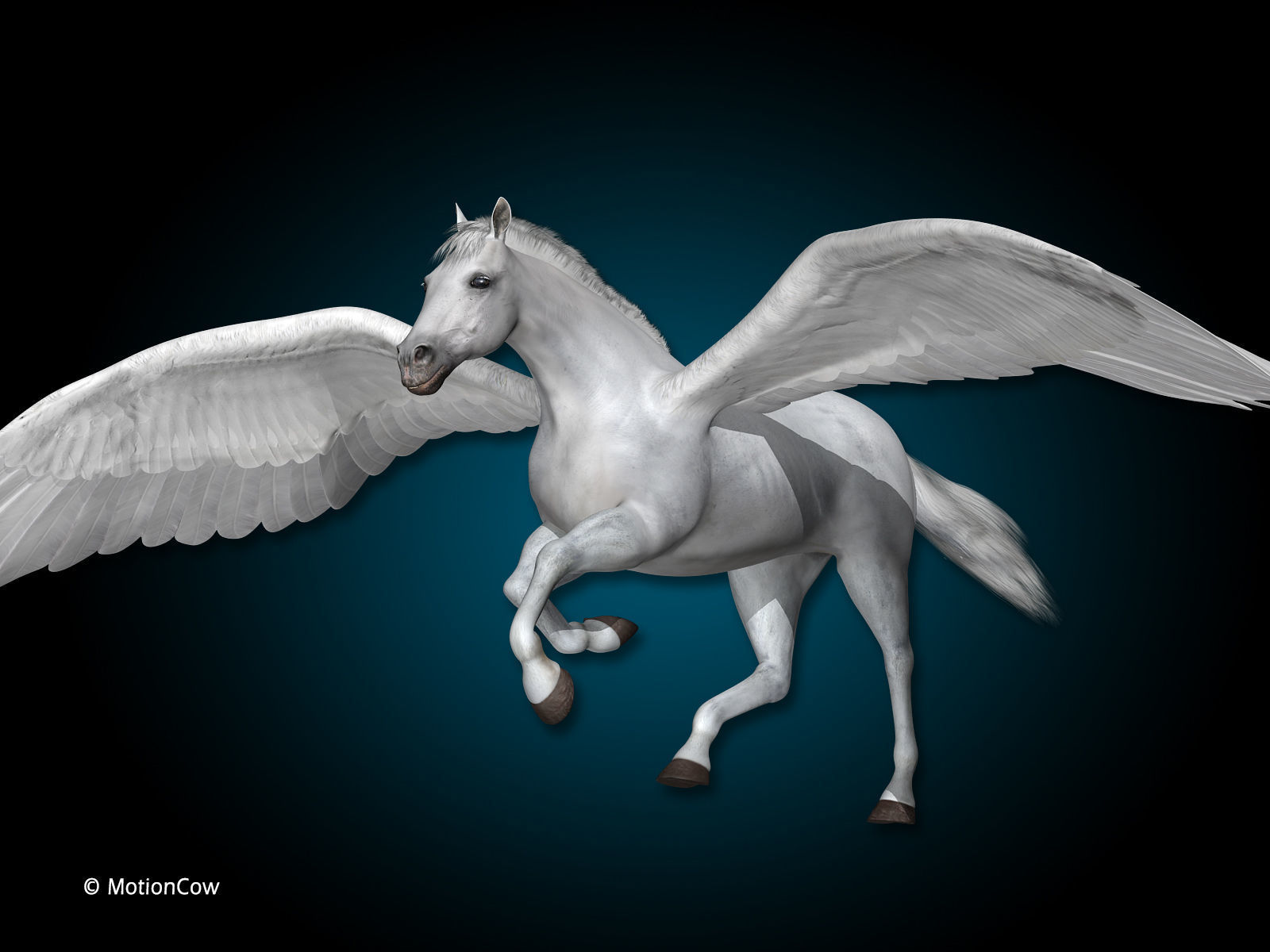 Pegasus 3D model_3
