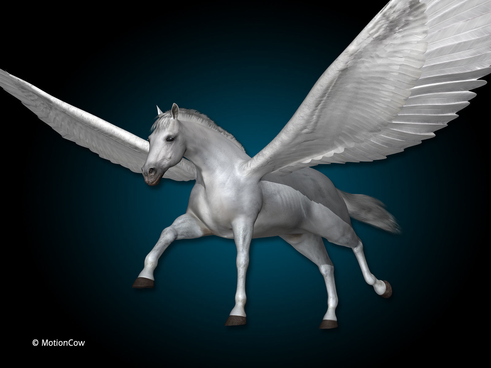 Pegasus 3D model_2