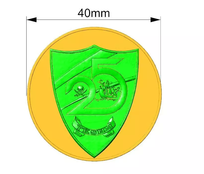 Pirate Emblem 3D print model_0