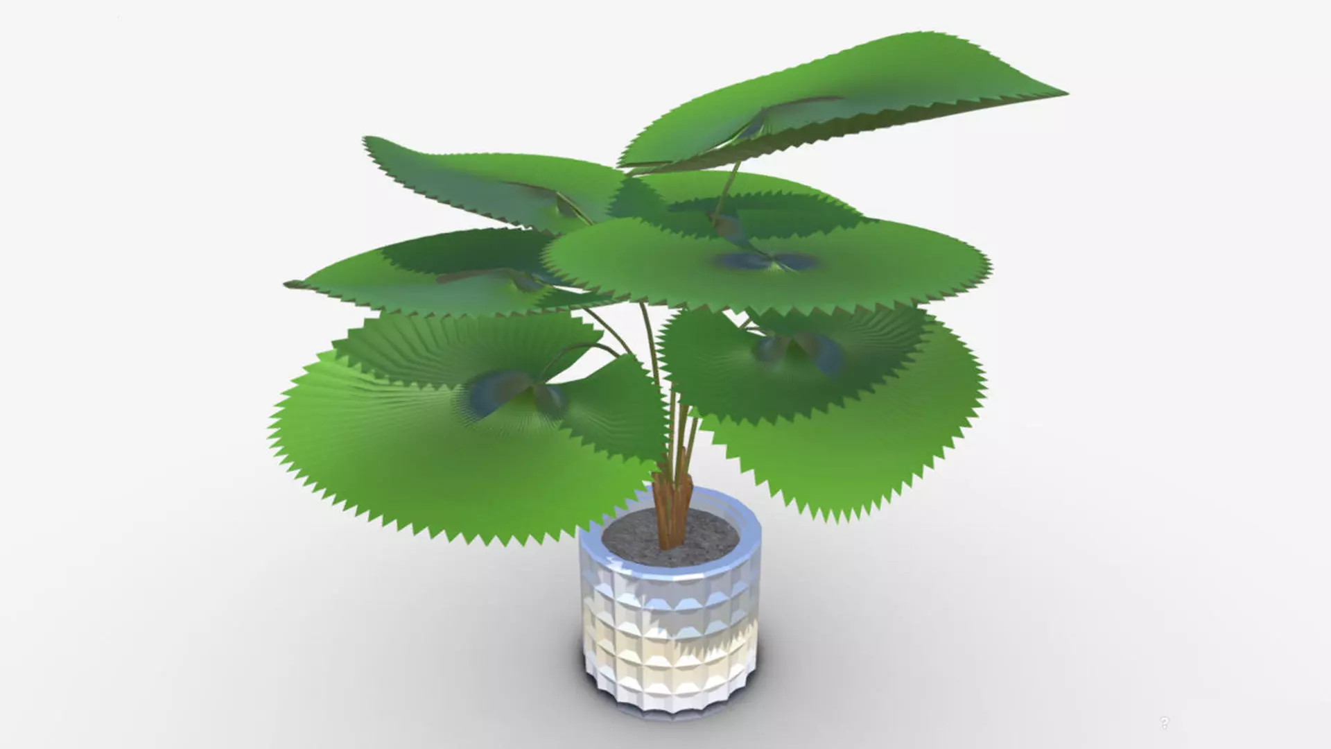 FanPalm tree 3D model