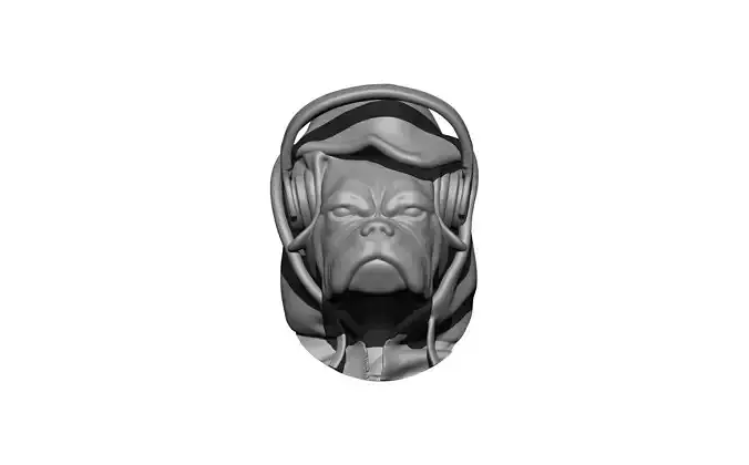 Cool dude bust dog bulldog hood headphone