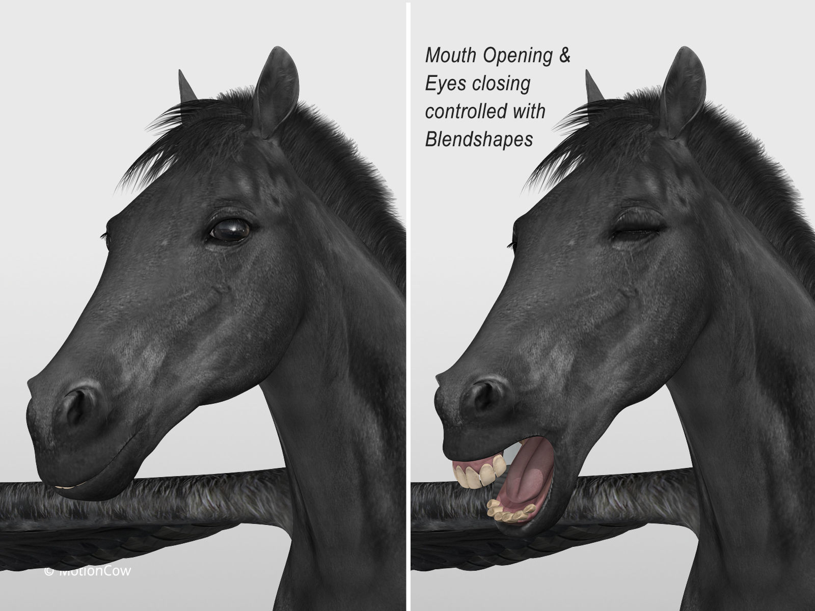 Pegasus - Black 3D model_7