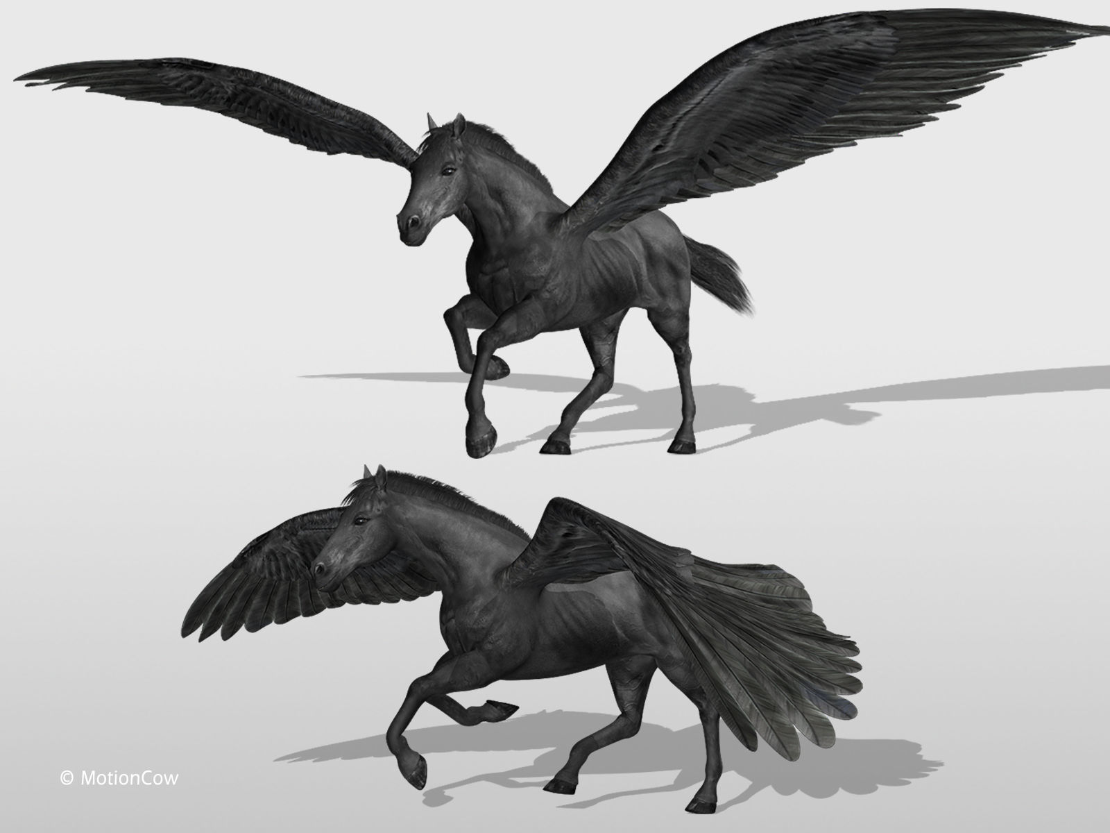 Pegasus - Black 3D model_6
