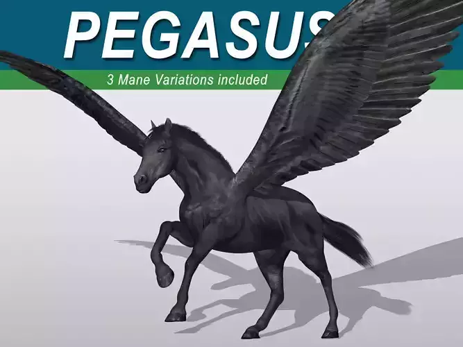 Pegasus - Black