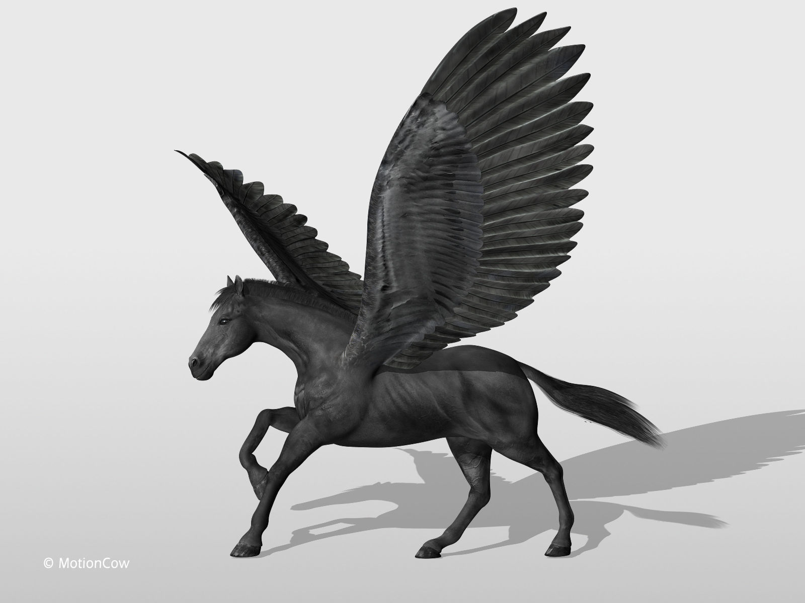 Pegasus - Black 3D model_4