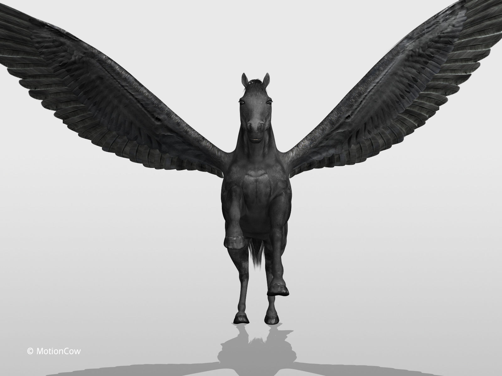 Pegasus - Black 3D model_10