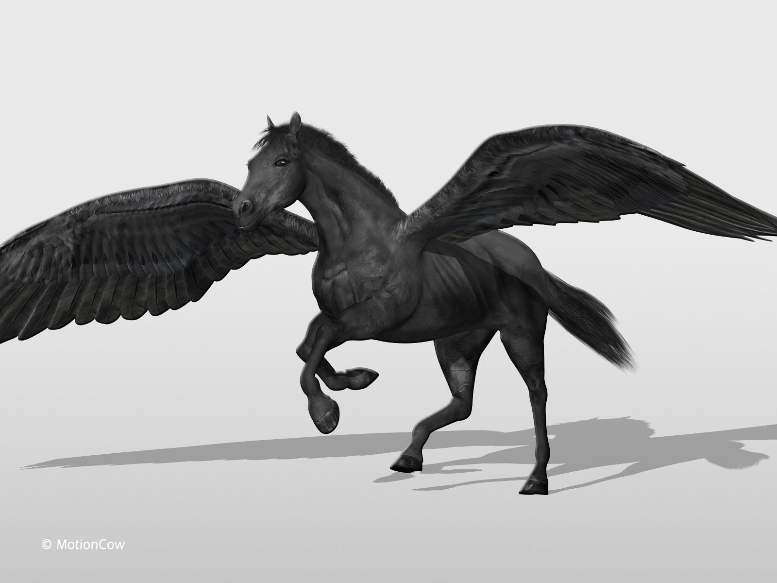 Pegasus - Black 3D model_2