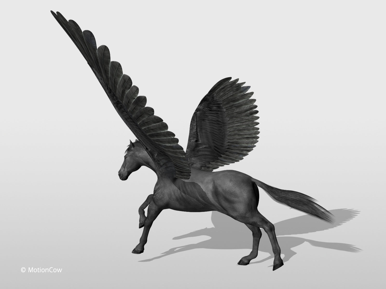 Pegasus - Black 3D model_9