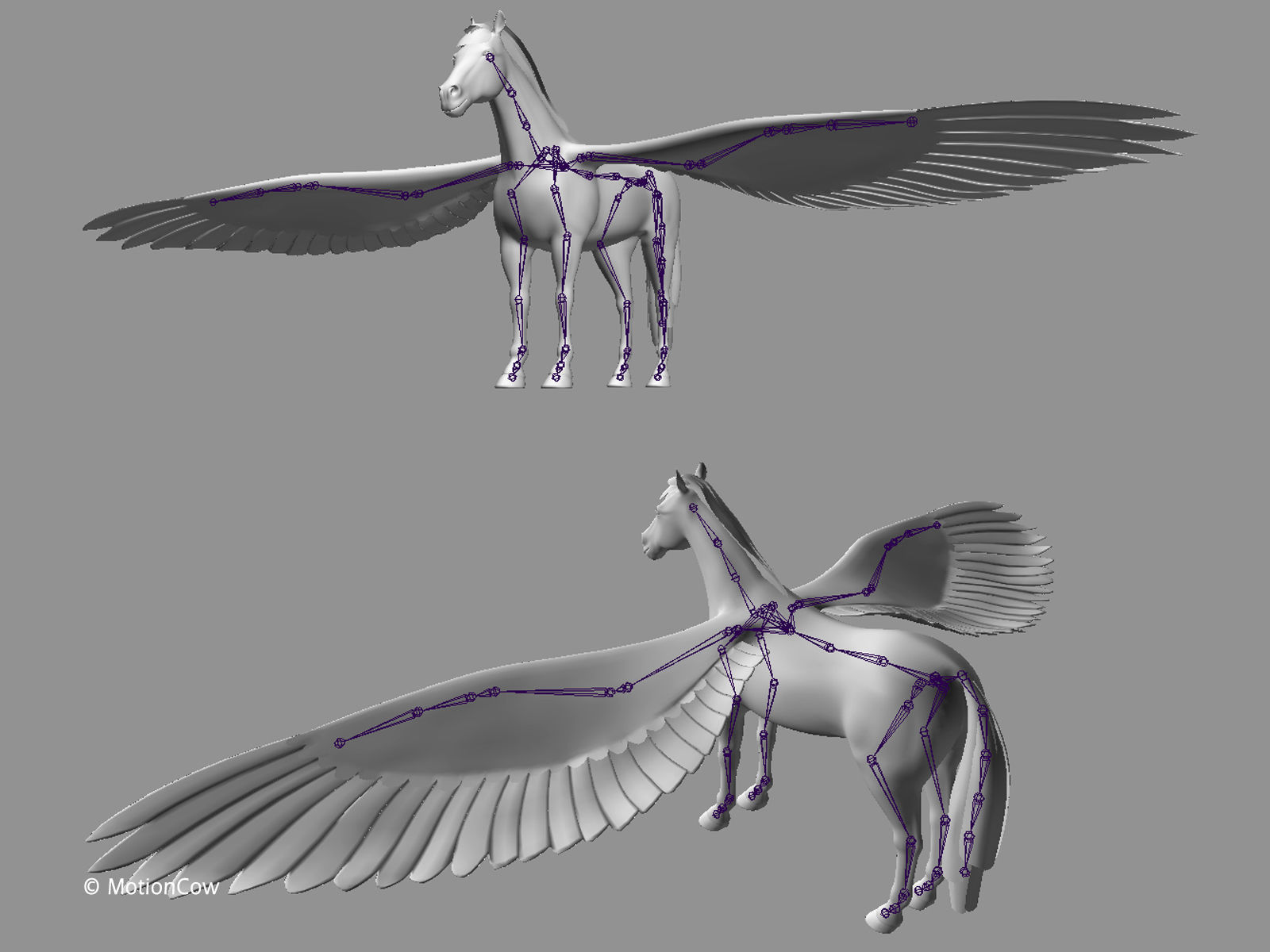 Pegasus - Black 3D model_14
