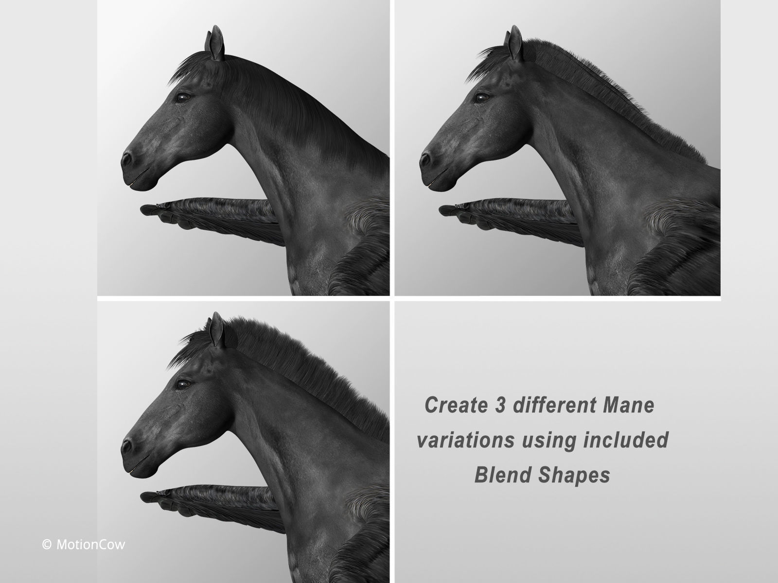 Pegasus - Black 3D model_8