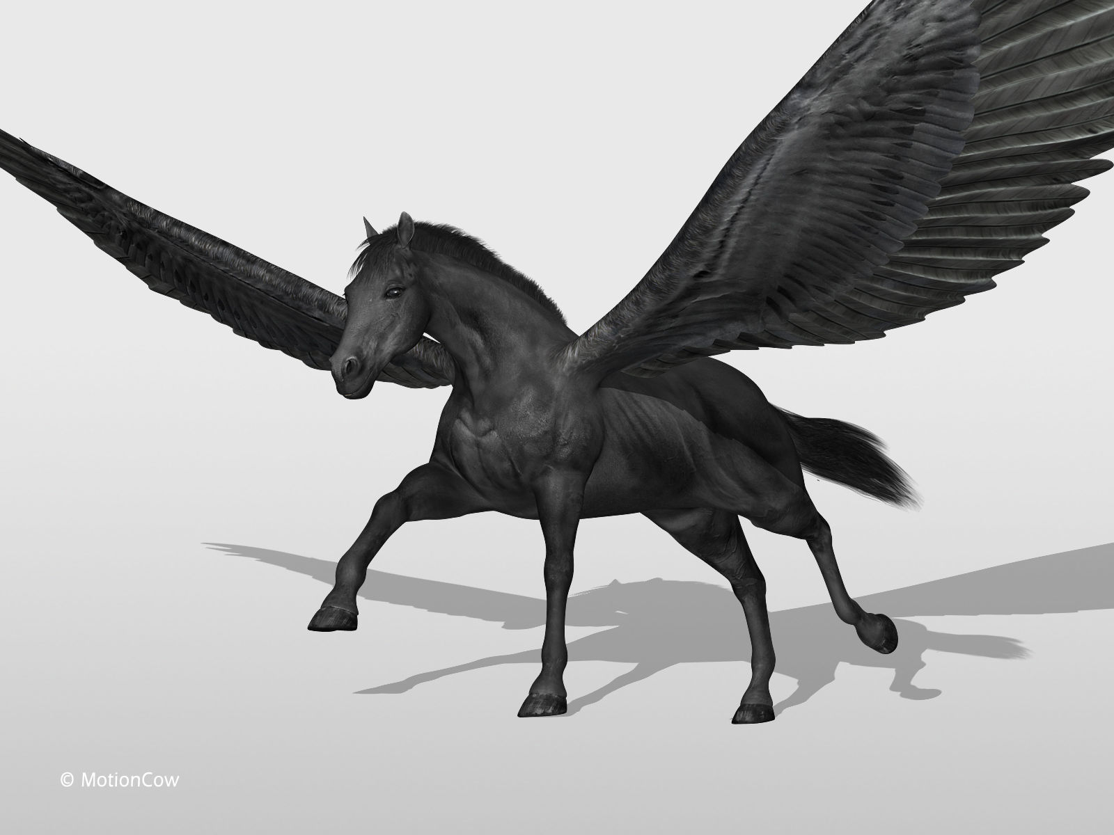 Pegasus - Black 3D model_3