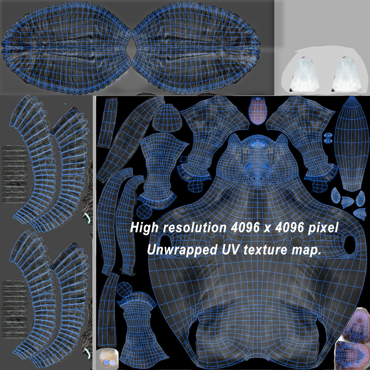 Pegasus - Black 3D model_16