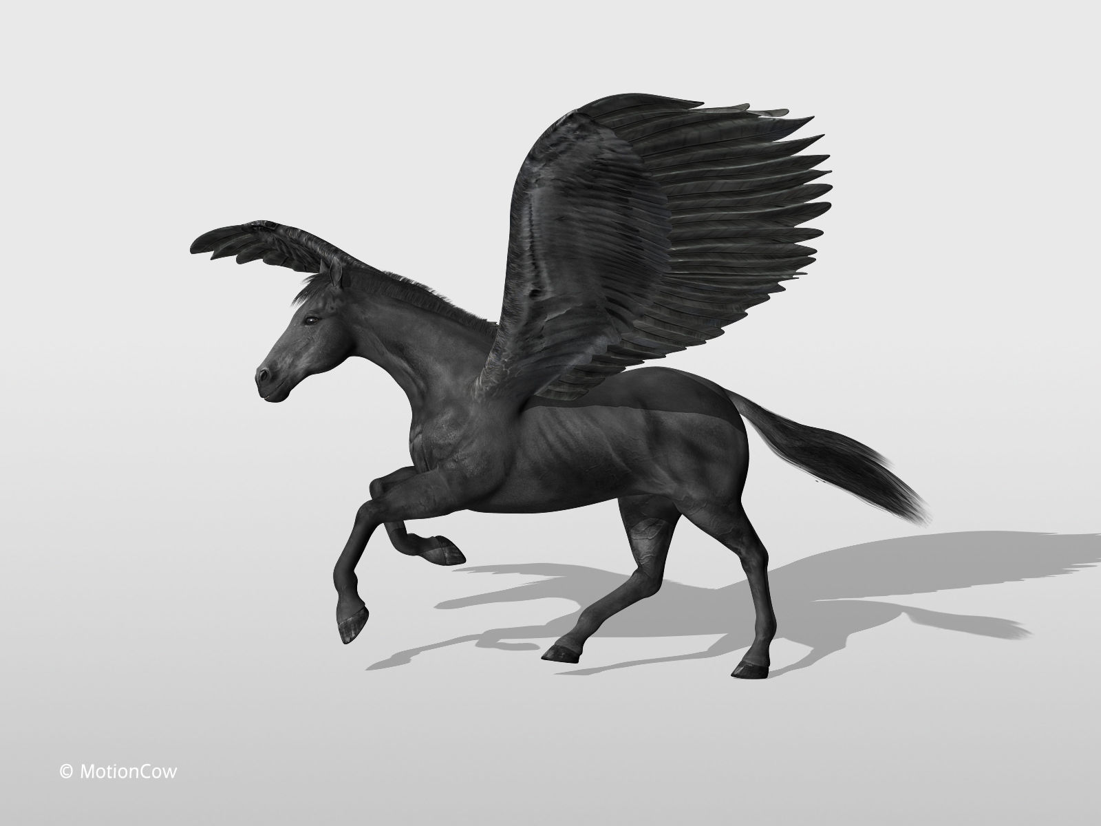 Pegasus - Black 3D model_12