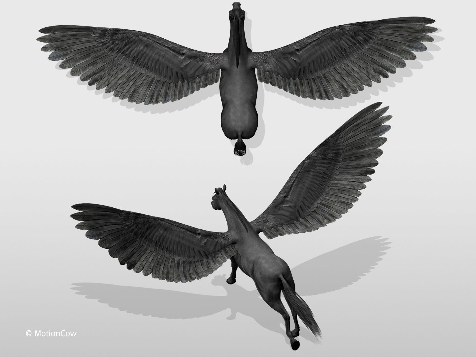 Pegasus - Black 3D model_11