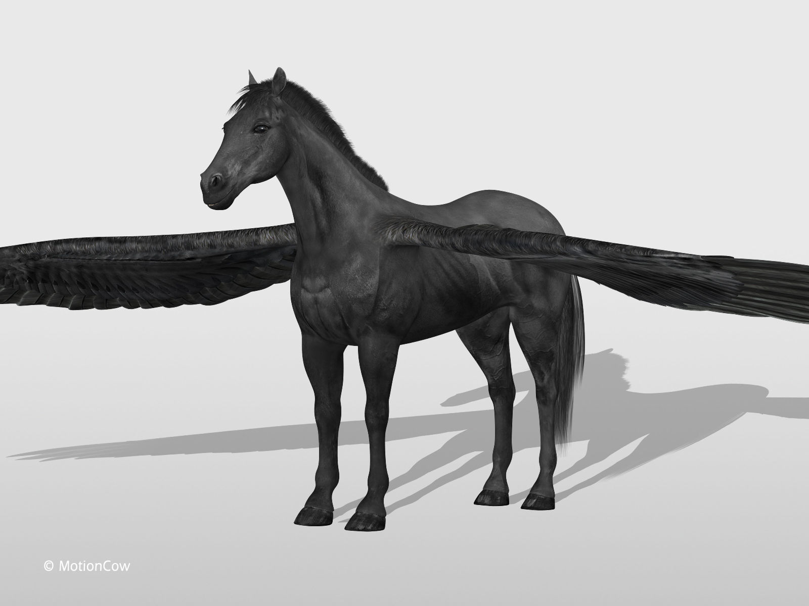 Pegasus - Black 3D model_13