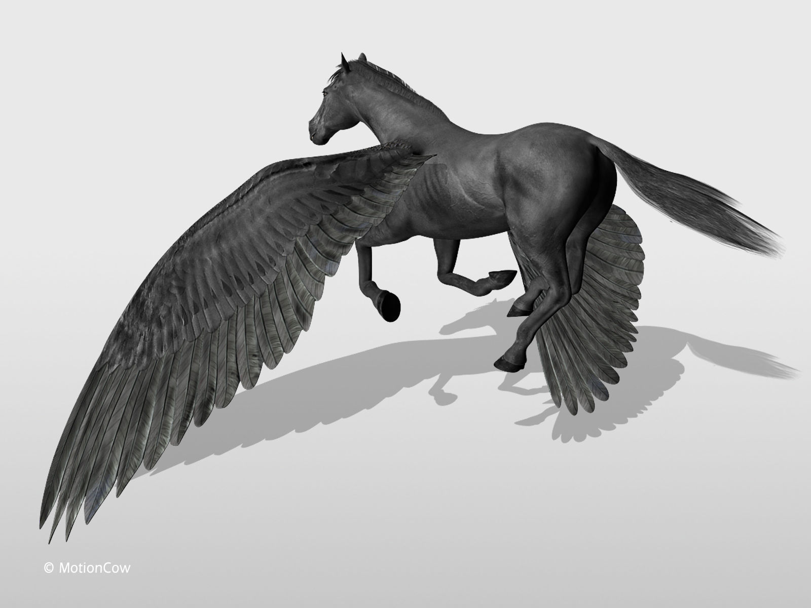Pegasus - Black 3D model_5