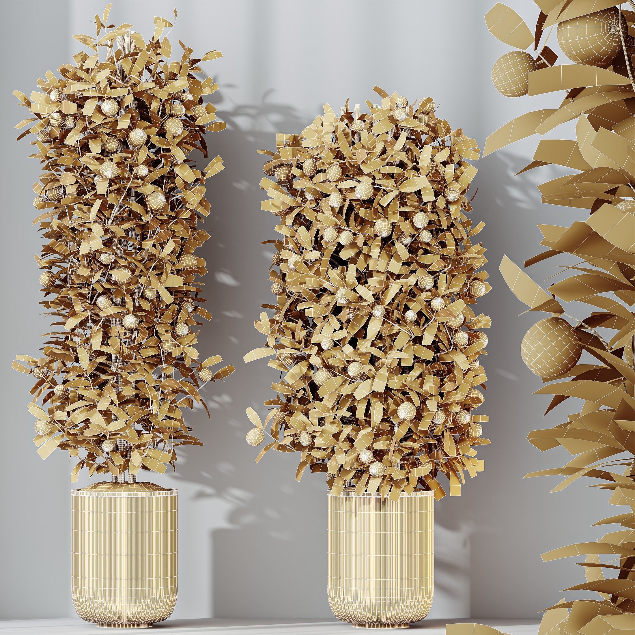 HousePlants Mandarin Citrus Fruit Bosnai China Orange Tree Set02 3D model_6