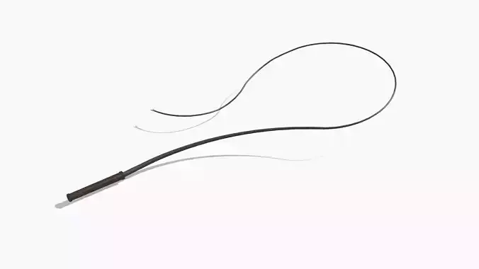 BDSM Whip Low-poly 3D model