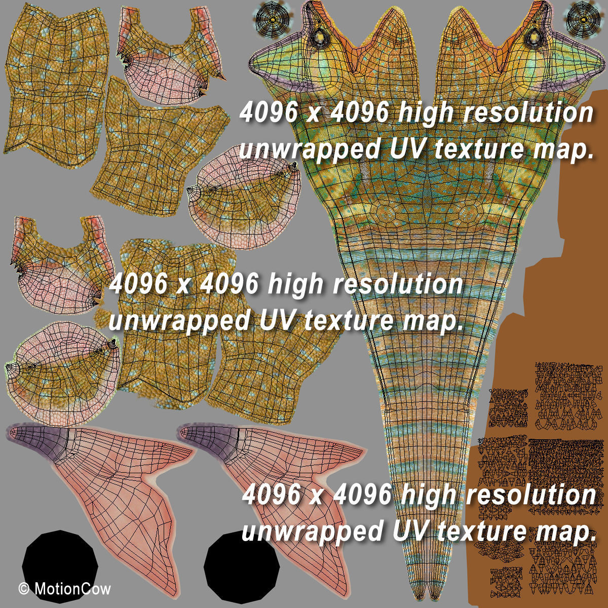 Chameleon - Color 3D model_16