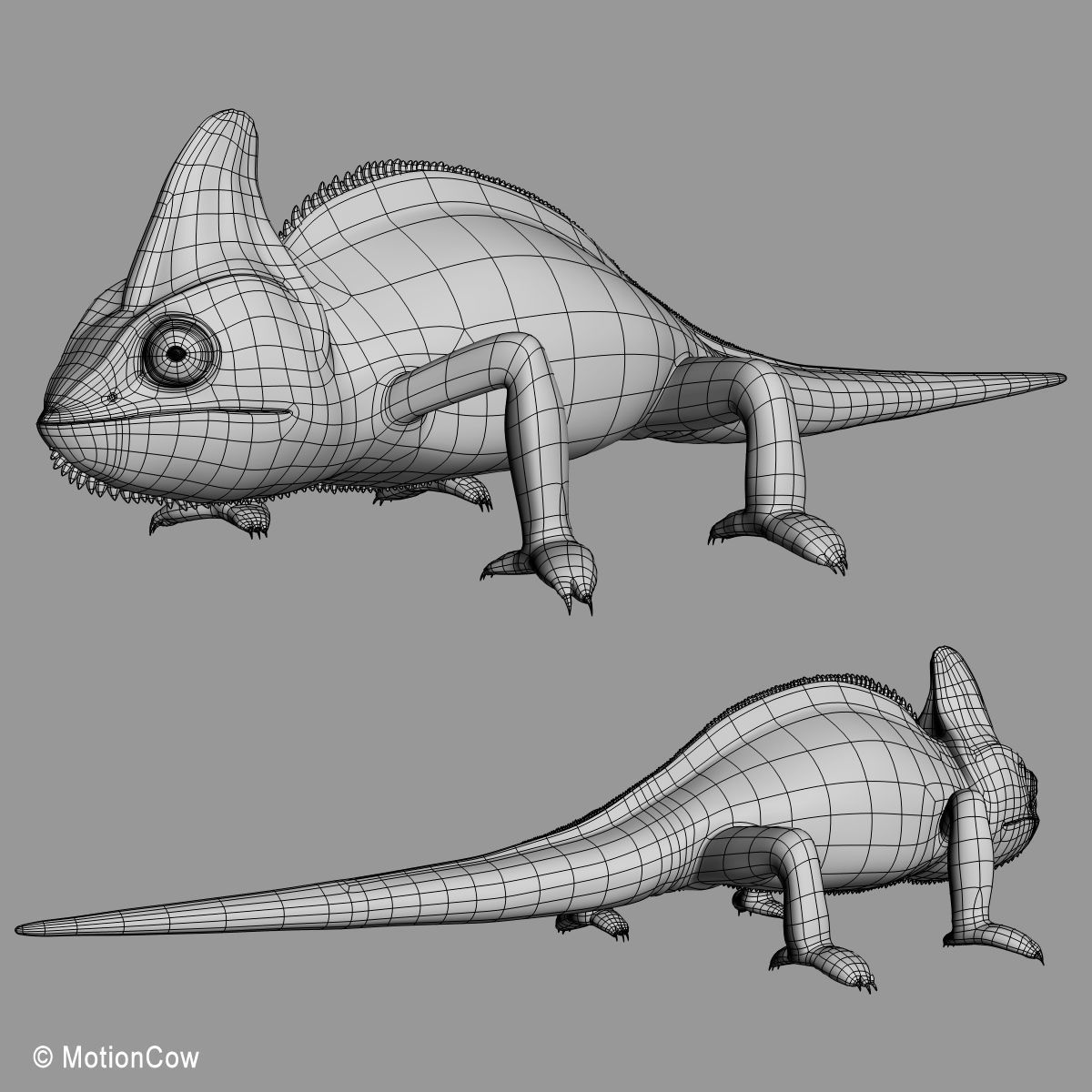 Chameleon - Color 3D model_15
